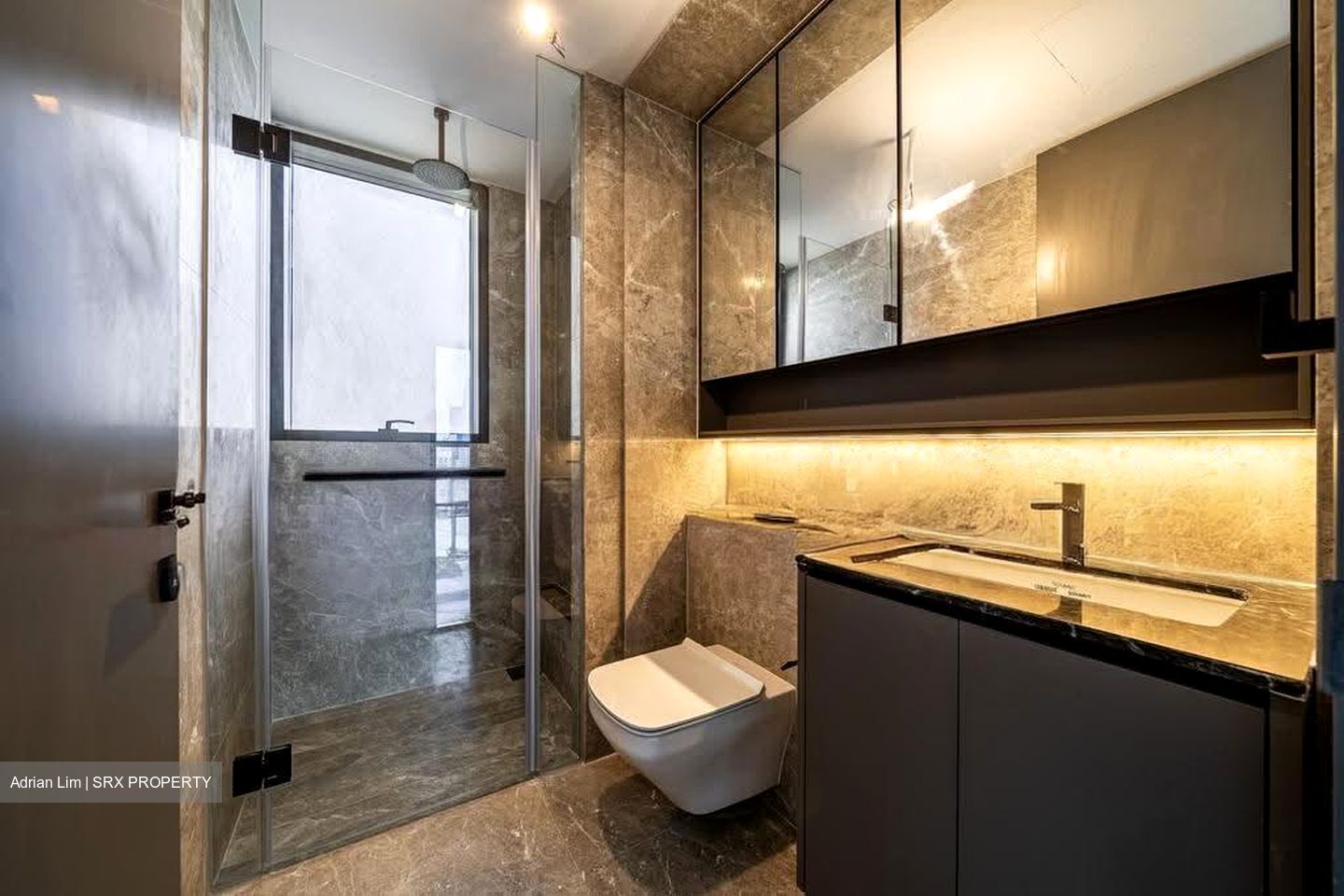 The Landmark (D3), Condominium #612390821